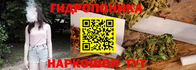 гашиш Кингисепп