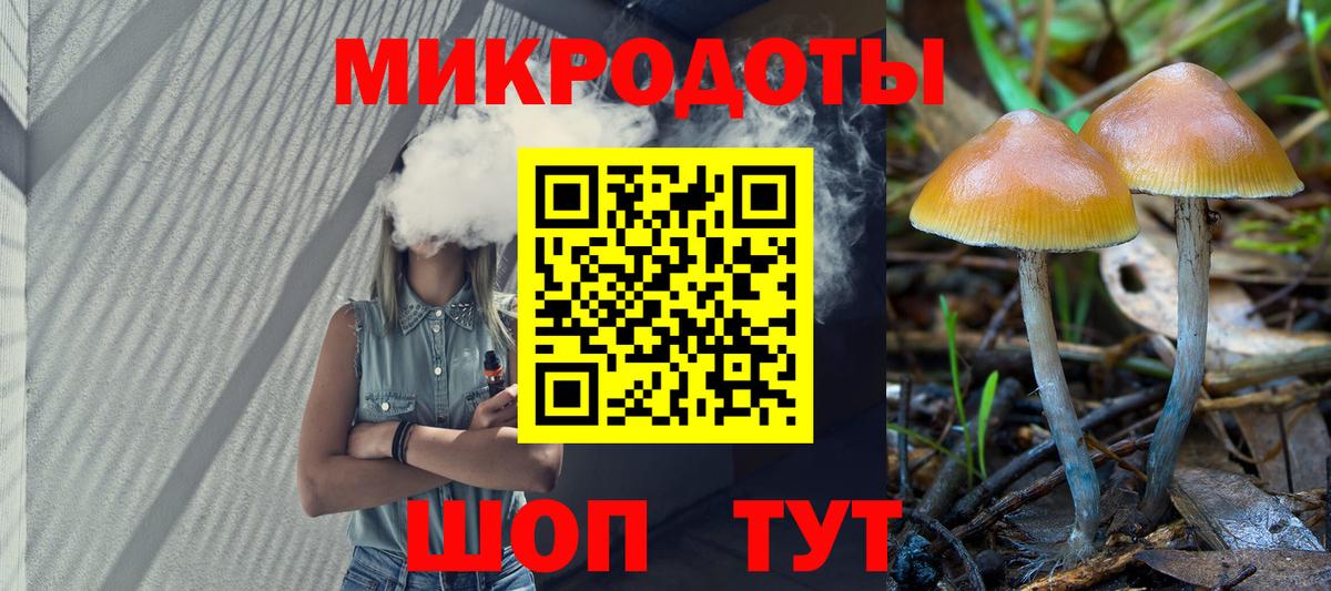 Галлюциногенные грибы Psilocybe  Вход с VPN  что такое   Мончегорск 